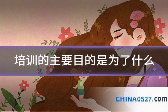 培训的主要目的是为了什么