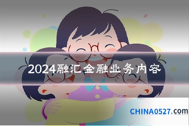 2024融汇金融业务内容