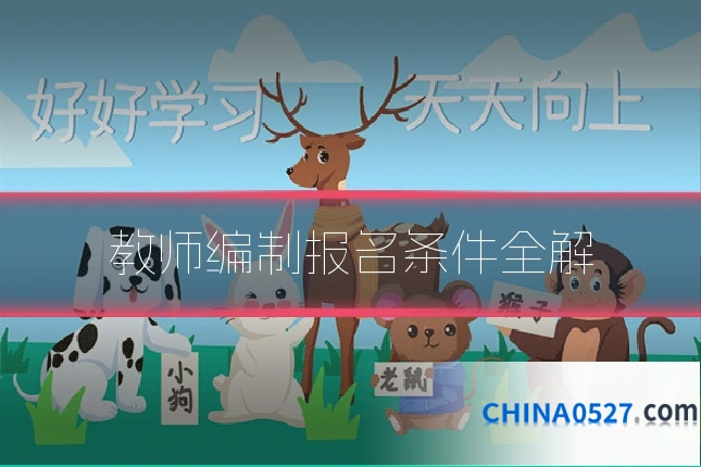 教师编制报名条件全解