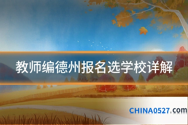 教师编德州报名选学校详解