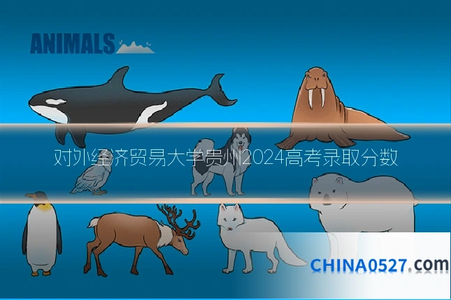 对外经济贸易大学贵州2024高考录取分数