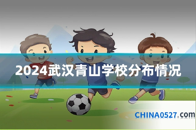 2024武汉青山学校分布情况