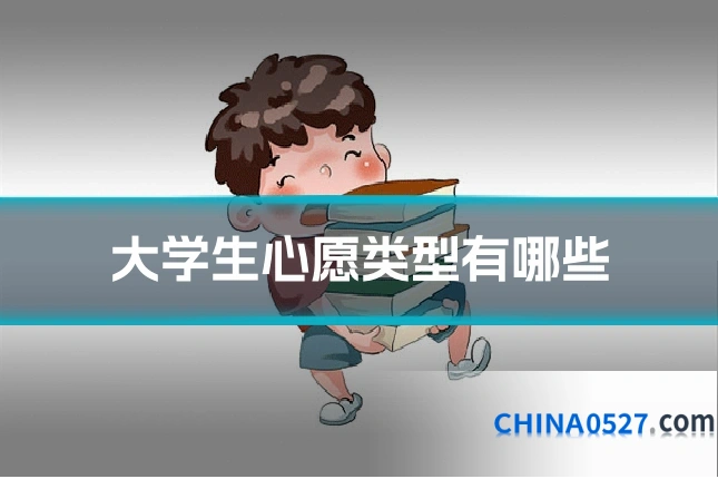 大学生心愿类型有哪些