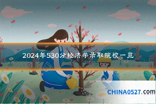 2024年530分经济学录取院校一览