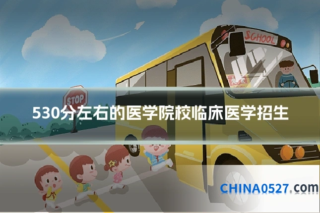 530分左右的医学院校临床医学招生