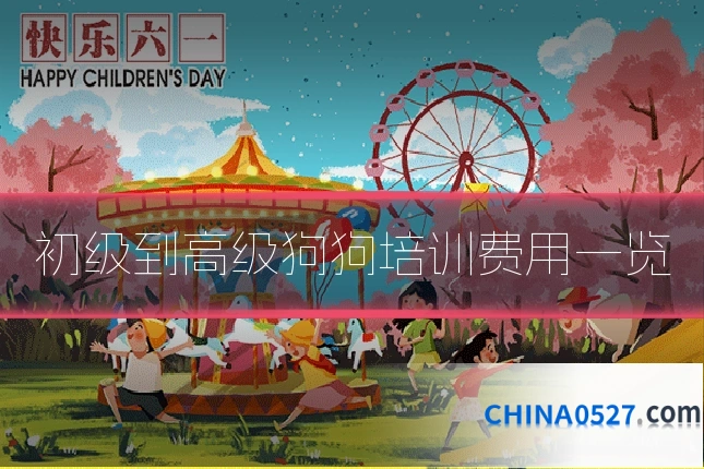 初级到高级狗狗培训费用一览
