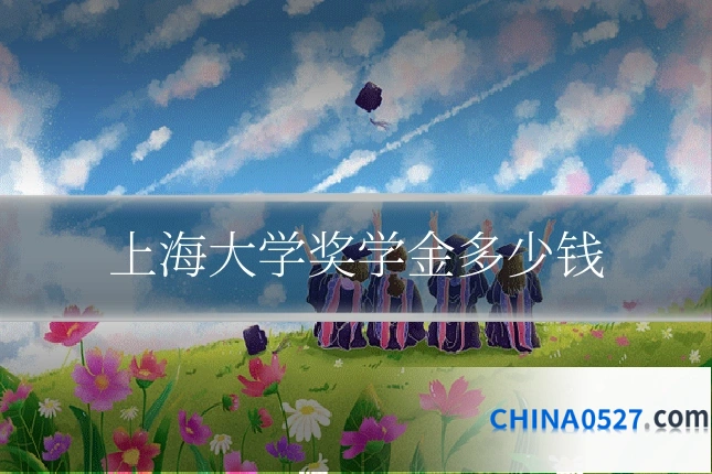 上海大学奖学金多少钱