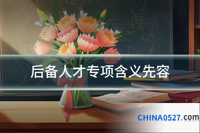 后备人才专项含义先容
