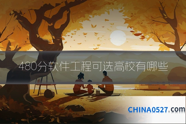 480分软件工程可选高校有哪些