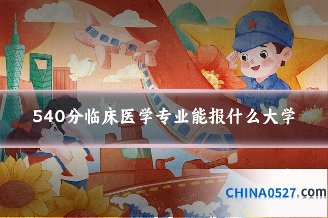 540分临床医学专业能报什么大学
