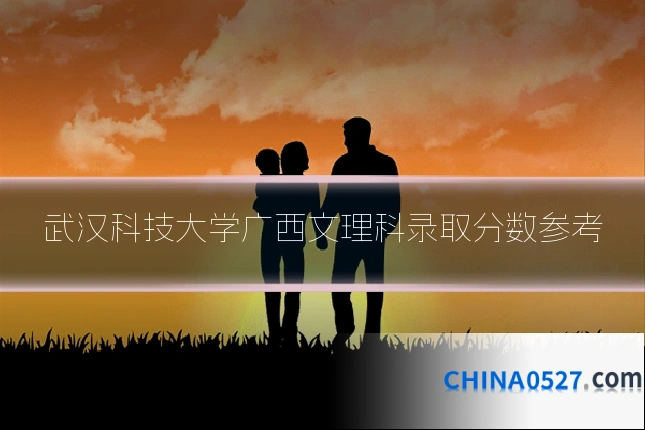 武汉科技大学广西文理科录取分数参考
