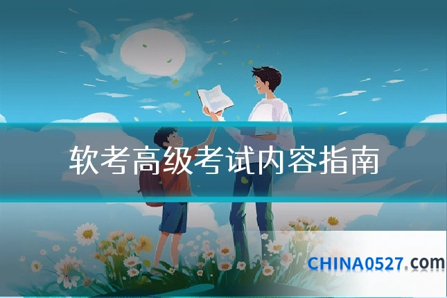 软考高级考试内容指南