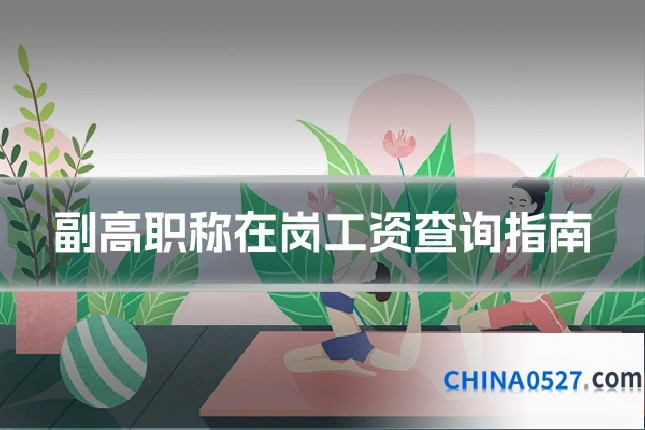 副高职称在岗工资查询指南