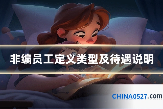 非编员工定义类型及待遇说明