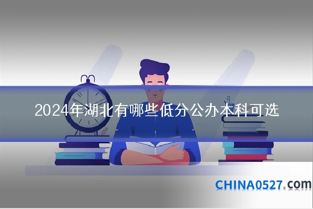 2024年湖北有哪些低分公办本科可选
