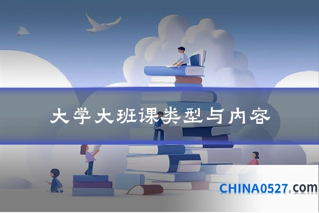 大学大班课类型与内容
