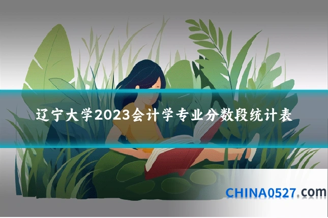 辽宁大学2023会计学专业分数段统计表