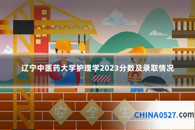 辽宁中医药大学护理学2023分数及录取情况