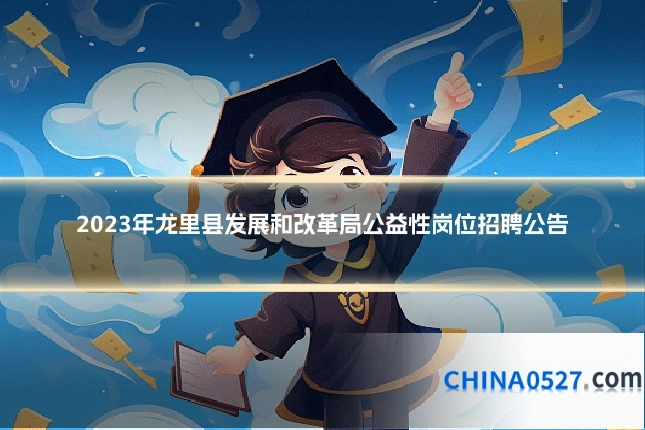 2023年龙里县发展和改革局公益性岗位招聘公告