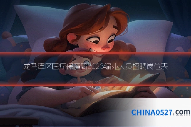 龙马潭区医疗保障局2023编外人员招聘岗位表