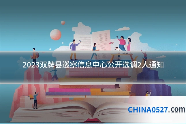 2023双牌县巡察信息中心公开选调2人通知