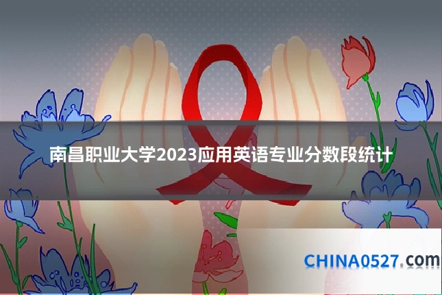 南昌职业大学2023应用英语专业分数段统计