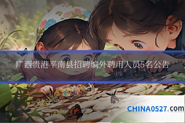 广西贵港平南县招聘编外聘用人员5名公告