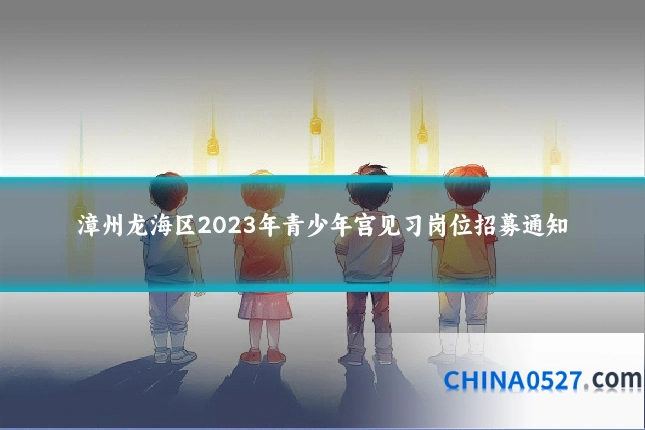 漳州龙海区2023年青少年宫见习岗位招募通知