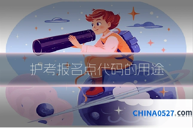 护考报名点代码的用途
