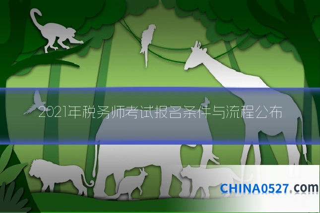 2021年税务师考试报名条件与流程公布