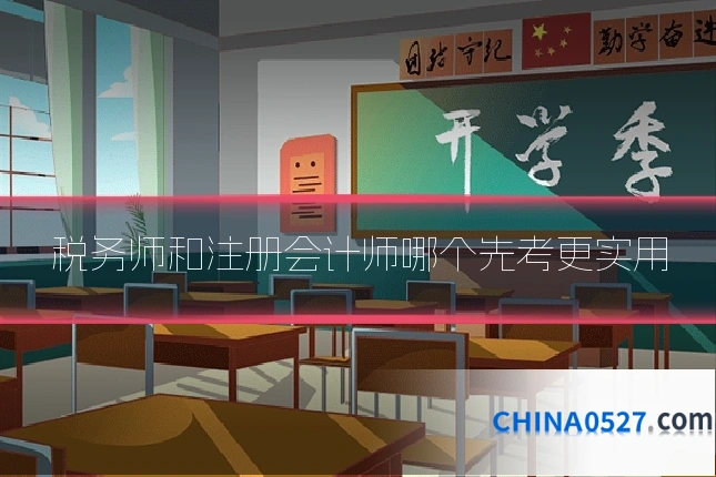 税务师和注册会计师哪个先考更实用