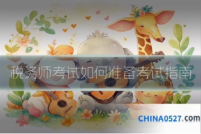 税务师考试如何准备考试指南