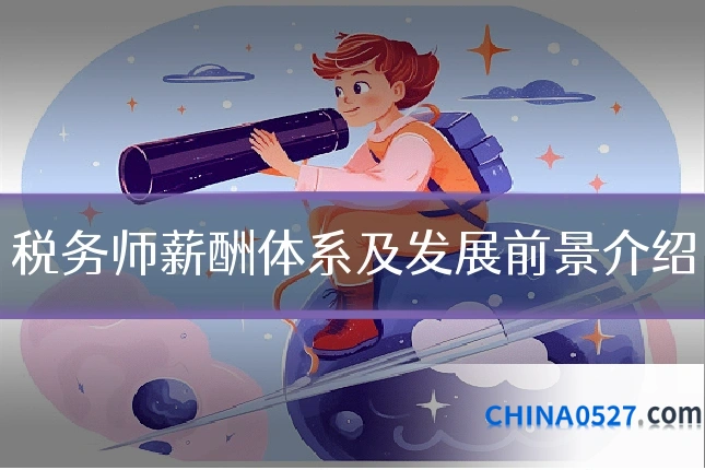 税务师薪酬体系及发展前景介绍