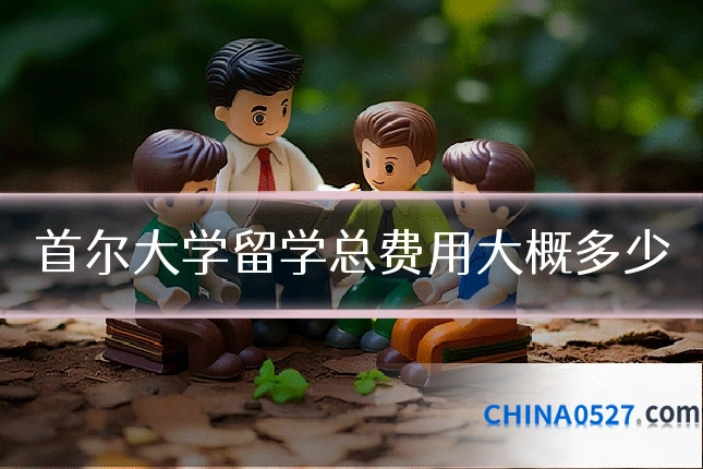 首尔大学留学总费用大概多少