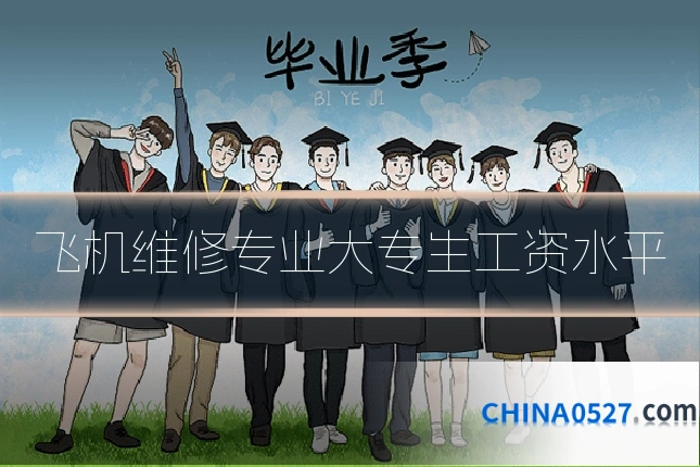 飞机维修专业大专生工资水平