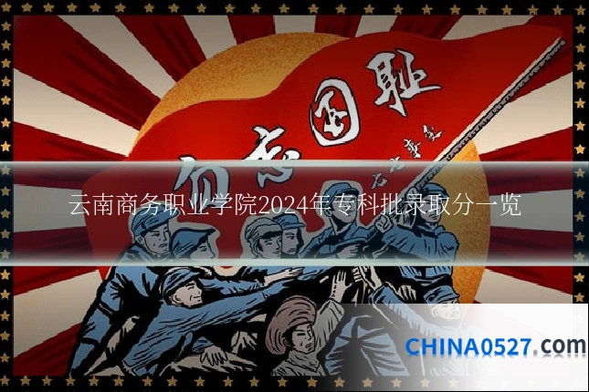 云南商务职业学院2024年专科批录取分一览