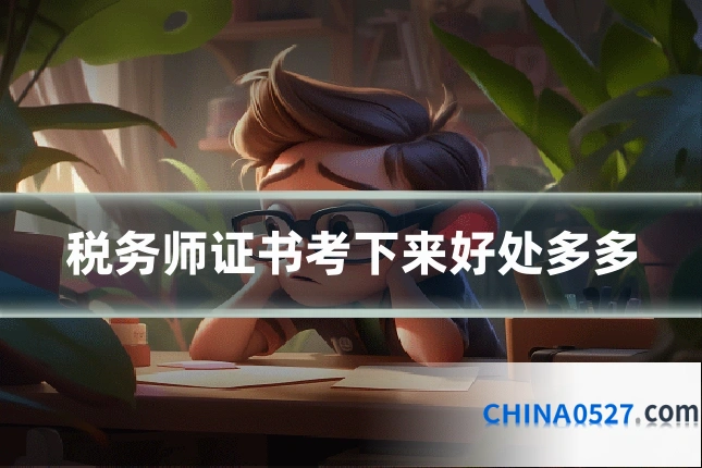 税务师证书考下来好处多多