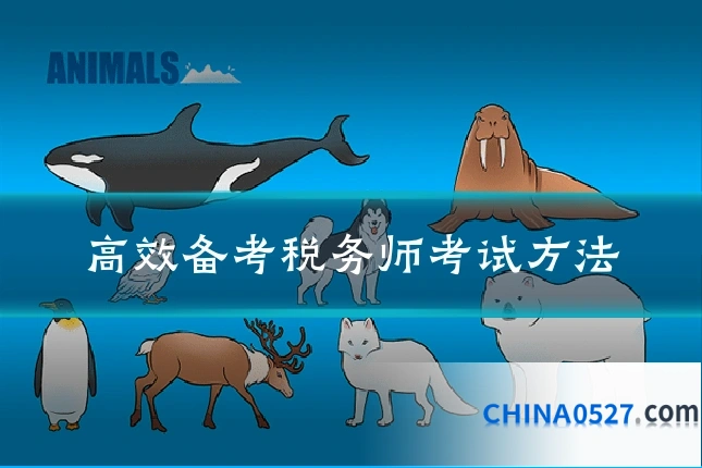 高效备考税务师考试方法