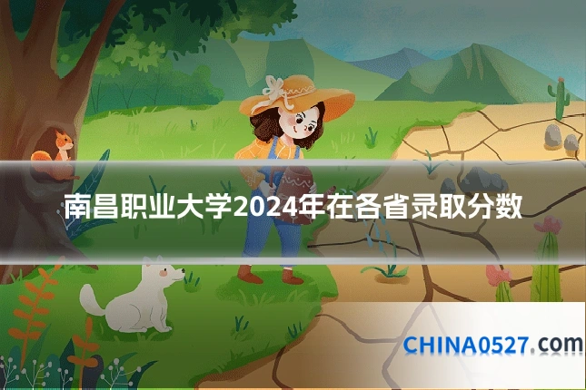 南昌职业大学2024年在各省录取分数