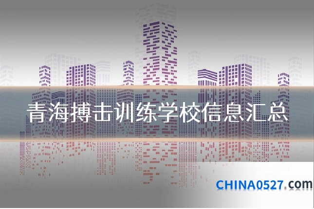 青海搏击训练学校信息汇总