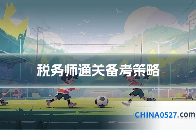 税务师通关备考策略