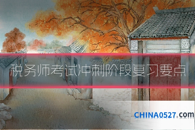 税务师考试冲刺阶段复习要点