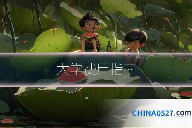 大学费用指南