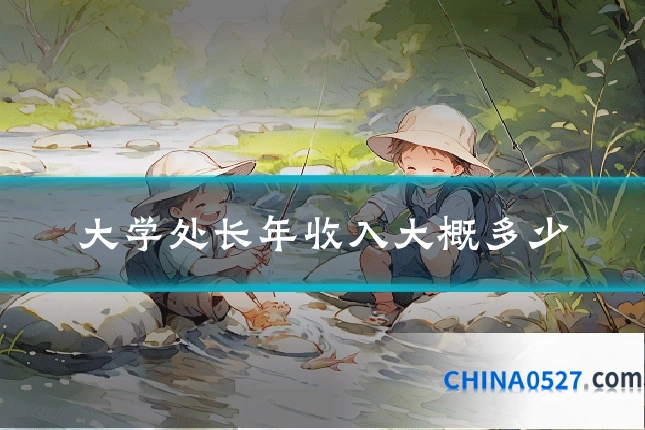 大学处长年收入大概多少