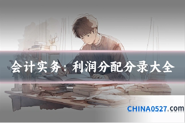 会计实务:利润分配分录大全