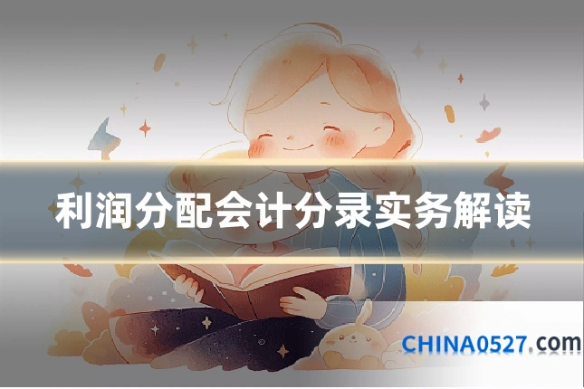 利润分配会计分录实务解读