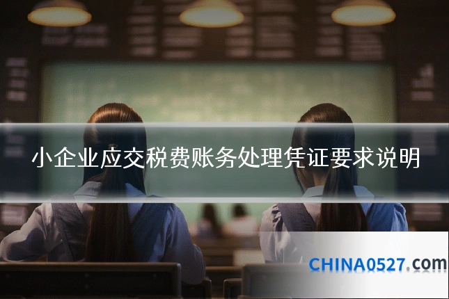 小企业应交税费账务处理凭证要求说明