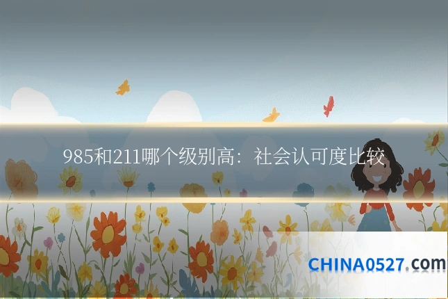 985和211哪个级别高:社会认可度比较