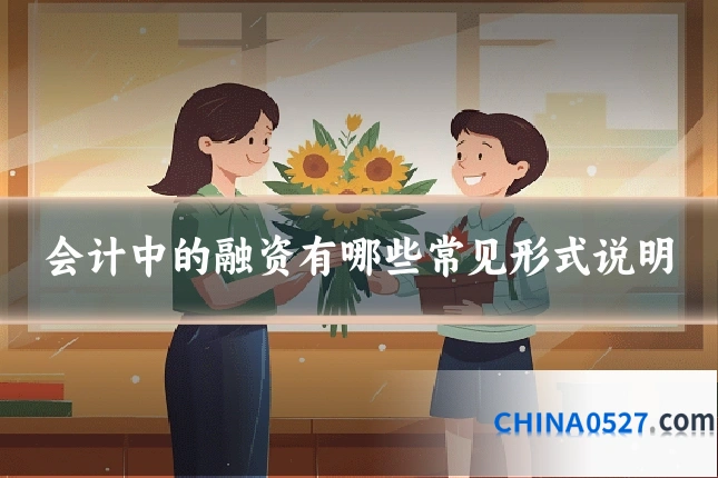 会计中的融资有哪些常见形式说明