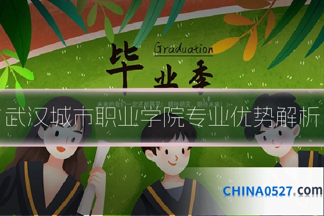 武汉城市职业学院专业优势解析